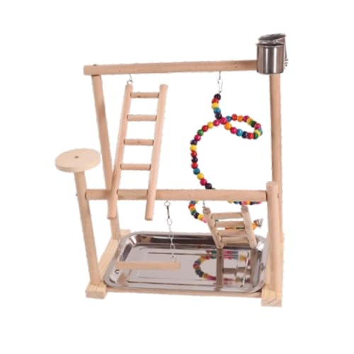 Baoblaze Papageien-Spielplatz, Laufstall, Sitzstange, Übungs-Laufstall, Vogel-Spiel-Fitnessstudio, Vögel, Hängespielzeug für Nymphensittiche, Conures, Baoblaze Papageien-Spielplatz, Laufstall, Sitzstange, Übungs-Laufstall, Vogel-Spiel-Fitnessstudio, Vögel, Hängespielzeug für Nymphensittiche, Conures, von Baoblaze
