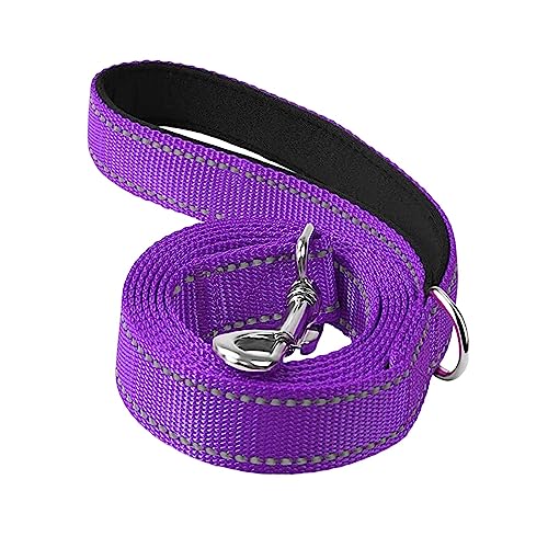 Baoblaze Reflektierende Hundeleine, bequem, professionell, 1,8 m lang, leicht zu reinigen, geflochtene Nylon-Hundetrainingsleine, für kleine große, Violett Baoblaze Reflektierende Hundeleine, bequem, professionell, 1,8 m lang, leicht zu reinigen, geflochtene Nylon-Hundetrainingsleine, für kleine große, Violett von Baoblaze