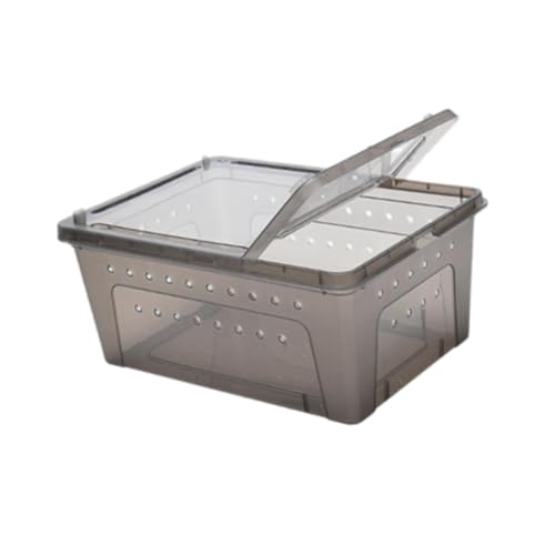 Baoblaze Reptilien -Fütterungsbox Klettern Haustier Zuchtbox Tragbar mit kleinen Lüftungsschildkröten -Transportbehälter Schluckkoffer für Skorpion, Schwarz von Baoblaze