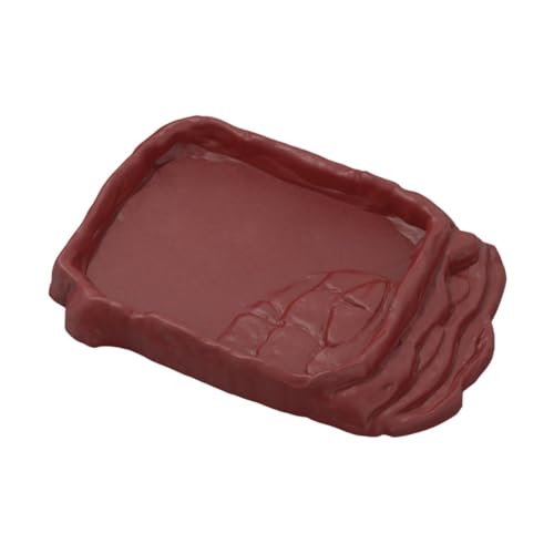 Baoblaze Reptilienfutter Schüssel Wasserschale Schildkrötenbad Lebensraum Badepool Feeder für Chameleon Eidechsen Schildkröte Skorpion Aquarium Ornament, L von Baoblaze