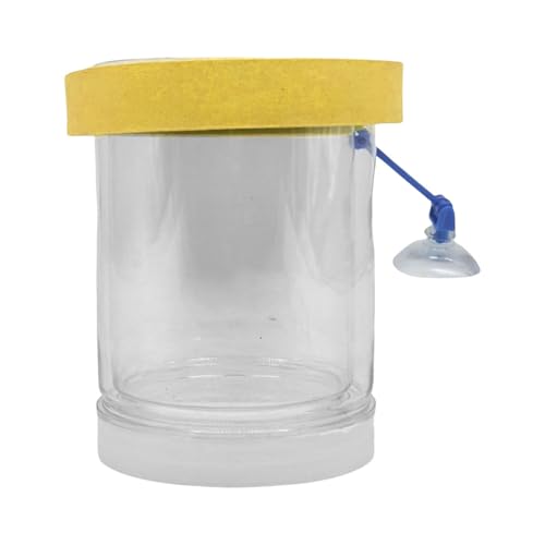 Baoblaze Schwimmender Fischisolation Box Fischtank schlüpft Inkubator Vielseitiger Aquariumzüchter Aquarium Hatchy Accessoire für Guppy Fry, L von Baoblaze