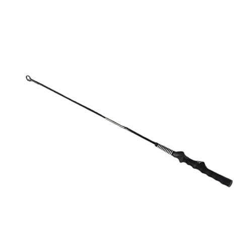 Baoblaze Tease Pole für Hunde, Hunde-Teaser-Stab für kleine und mittelgroße Hunde, interaktives Hundestangen-Trainingszubehör für Outdoor-Übungen von Baoblaze