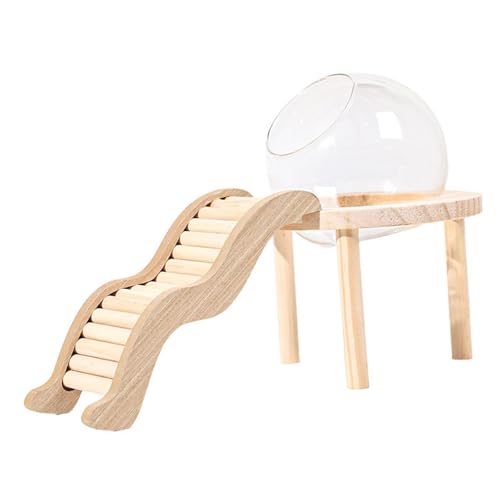 Baoblaze Transparentes Glas Sandbad, Glashamsterhaus mit Holzleiter, Hamster -Sandbad für Meerschweinchen, Mäuse, Haustierversorgungen, S Baoblaze Transparentes Glas Sandbad, Glashamsterhaus mit Holzleiter, Hamster -Sandbad für Meerschweinchen, Mäuse, Haustierversorgungen, S von Baoblaze
