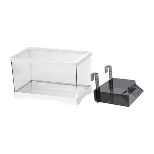 Baoblaze Turtle Tank Aquarium Tortoise Gehege Starter Kit Hindout Reptile Tank mit Ackplattform aquatisches Terrarium für die Zucht, Weiß, L with Platform Baoblaze Turtle Tank Aquarium Tortoise Gehege Starter Kit Hindout Reptile Tank mit Ackplattform aquatisches Terrarium für die Zucht, Weiß, L with Platform von Baoblaze