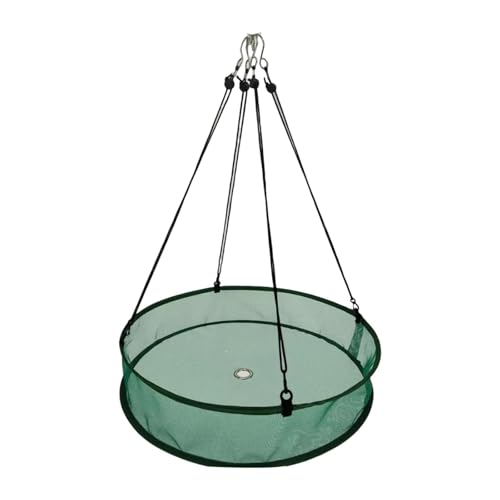 Baoblaze Vogelfutter-Fangschale, Futterspender, einfache Installation, Robustes Gartenzubehör, Zuverlässigkeit, universeller Vogelfutterreifen für den Hof, GrÜn Baoblaze Vogelfutter-Fangschale, Futterspender, einfache Installation, Robustes Gartenzubehör, Zuverlässigkeit, universeller Vogelfutterreifen für den Hof, GrÜn von Baoblaze
