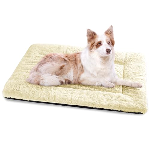 Baodan Hundebett Grosse Hunde, Hundekissen Waschbar Dog Bed - 106x71 cm Superweich Katzenbett mit Rutschfester Unterseite - Beige Baodan Hundebett Grosse Hunde, Hundekissen Waschbar Dog Bed - 106x71 cm Superweich Katzenbett mit Rutschfester Unterseite - Beige von Baodan