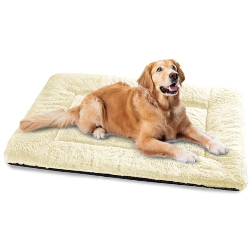 Baodan Hundebett Grosse Hunde, Hundekissen Waschbar Dog Bed - 122x75 cm Superweich Katzenbett mit Rutschfester Unterseite - Beige Baodan Hundebett Grosse Hunde, Hundekissen Waschbar Dog Bed - 122x75 cm Superweich Katzenbett mit Rutschfester Unterseite - Beige von Baodan