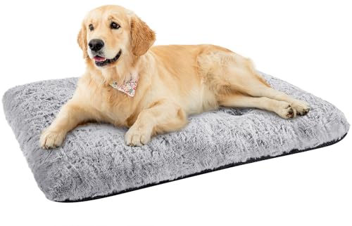 Baodan Hundebett Mittelgroße Hunde, 75x55 cm Waschbar Katzenbett Flauschig, Hundekissen Hundematte in Grau mit Rutschfestem Unterseite Dog Bed von Baodan