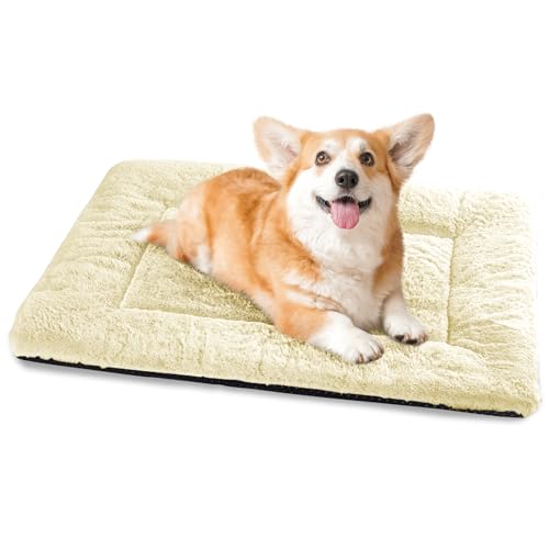 Baodan Hundebett Mittelgroße Kleine Hunde, Hundekissen Waschbar für kleine mittelgroße Hunde, Dog Bed - 75x50 cm Superweich Katzenbett mit Rutschfester Unterseite - Beige von Baodan
