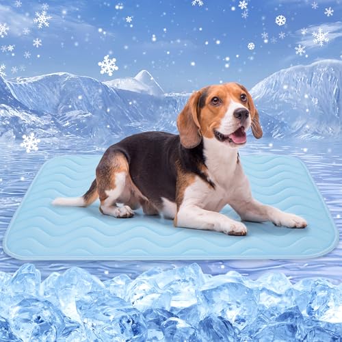 Baodan kühlmatte Hund, 90x56 cm Waschbar kühlmatte für Hunde, Selbstkühlende Pads für Hunde Katzen im heißen Sommer Baodan kühlmatte Hund, 90x56 cm Waschbar kühlmatte für Hunde, Selbstkühlende Pads für Hunde Katzen im heißen Sommer von Baodan