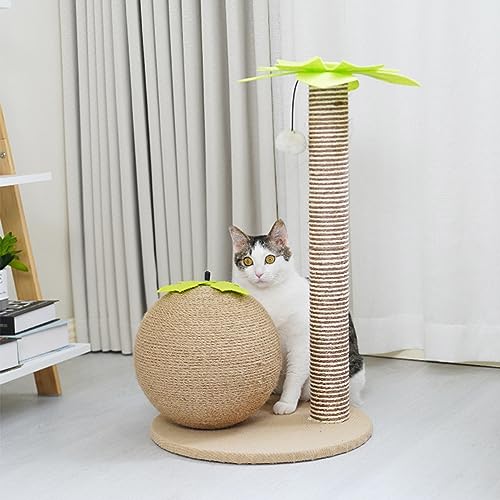 Katzenhaus, 64 cm hoher Katzenkratzbaum, Krallenkratz-Aktivitätszentrum mit Sisalseil und mit weichem, glattem Plüsch überzogen, vertikales Kratzen Katzenhaus, 64 cm hoher Katzenkratzbaum, Krallenkratz-Aktivitätszentrum mit Sisalseil und mit weichem, glattem Plüsch überzogen, vertikales Kratzen von Baodiale