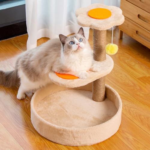 Katzenhaus, Kleiner Katzenbaum, 46 cm, moderner Kratzbaum für kleine bis mittelgroße Katzen, Katzenbaum mit großem Plüschbett, hängender Ball, Sisal Katzenhaus, Kleiner Katzenbaum, 46 cm, moderner Kratzbaum für kleine bis mittelgroße Katzen, Katzenbaum mit großem Plüschbett, hängender Ball, Sisal von Baodiale