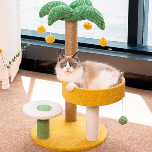 Katzenhaus, origineller Kokosnuss-Strand-Katzenbaum, Turm, Wohnungsmöbel, Plüschplattform mit Kratzbäumen, Spielzeugball, Haustierhaus, Spiel für Hauskatzen Katzenhaus, origineller Kokosnuss-Strand-Katzenbaum, Turm, Wohnungsmöbel, Plüschplattform mit Kratzbäumen, Spielzeugball, Haustierhaus, Spiel für Hauskatzen von Baodiale