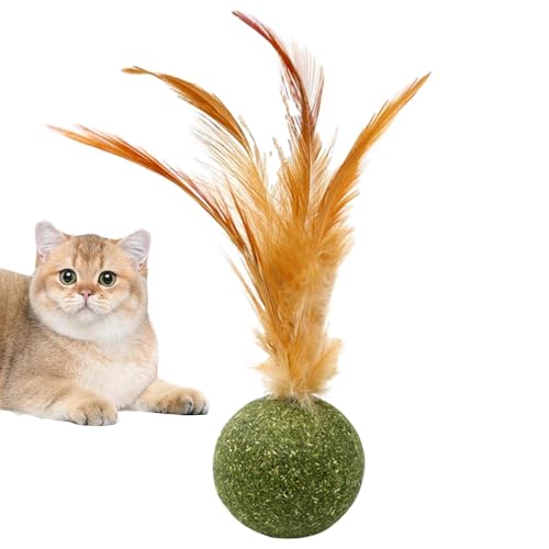 5 Stück Katzenminze Balls Spielzeug Für Katze, Katzenspielzeug Mit Feder, Katzenfeder Katzenminze Essbarer Ball, Für Innenkatze Spielzeugzähne Reinigung Relief Katze Und Schlechte Laune 5 Stück Katzenminze Balls Spielzeug Für Katze, Katzenspielzeug Mit Feder, Katzenfeder Katzenminze Essbarer Ball, Für Innenkatze Spielzeugzähne Reinigung Relief Katze Und Schlechte Laune von Baoqifong