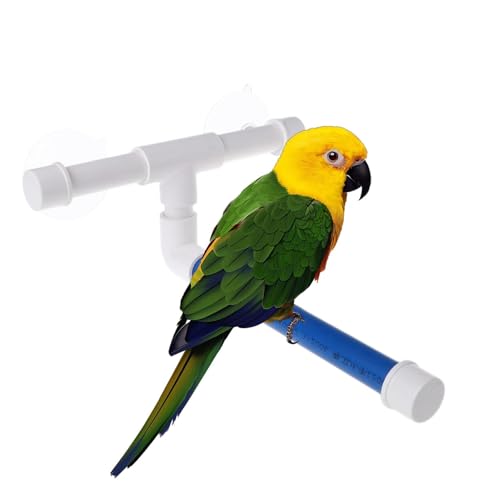 Baoqifong Bad Barsch für Vogeldusche, Papageidusche Barsch | Saugnapfbecher -Barsch -Duschständer Spielzeug | Papageienkäfigzubehör, Badspielzeug stehende Rackwandhalterung, Haustierbedarf Baoqifong Bad Barsch für Vogeldusche, Papageidusche Barsch | Saugnapfbecher -Barsch -Duschständer Spielzeug | Papageienkäfigzubehör, Badspielzeug stehende Rackwandhalterung, Haustierbedarf von Baoqifong
