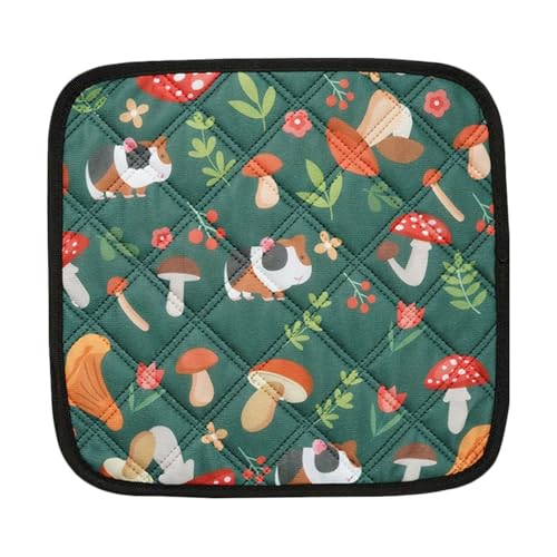 Baoqifong Kaninchen Käfigmatte - Waschbare Hamsterkäfig Einlage - Wiederverwendbare Urinauflage Kleintier Einstreu Für Zuhause Garten Reise Innengehege Baoqifong Kaninchen Käfigmatte - Waschbare Hamsterkäfig Einlage - Wiederverwendbare Urinauflage Kleintier Einstreu Für Zuhause Garten Reise Innengehege von Baoqifong