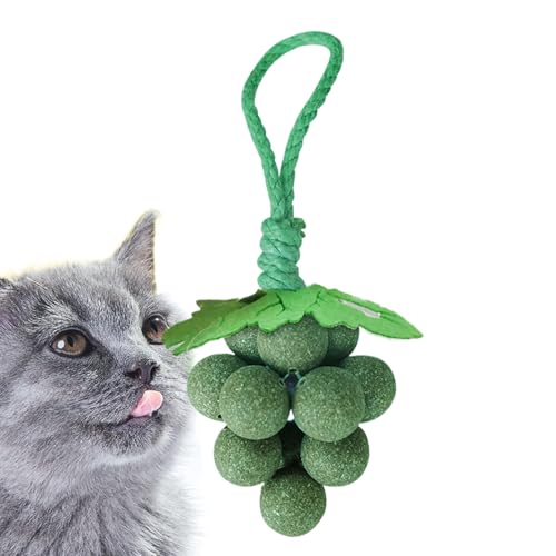 Baoqifong Katzenminze Spielzeug, Traubenform Kauspielzeug, Interaktives Katzenspielzeug Zum, Spielen Und Zahnpflege Für Drinnen Baoqifong Katzenminze Spielzeug, Traubenform Kauspielzeug, Interaktives Katzenspielzeug Zum, Spielen Und Zahnpflege Für Drinnen von Baoqifong