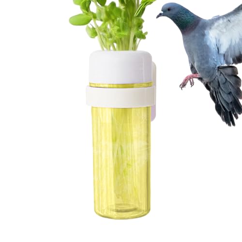 Baoqifong Vogelkäfig-Futterhalter für - Wellensittich futterautomat mit Wasserspeicher-Design,Grünfutter Frischhalten Vogelfutterbehälter Für Wellensittiche Unzertrennliche Nymphensittiche Baoqifong Vogelkäfig-Futterhalter für - Wellensittich futterautomat mit Wasserspeicher-Design,Grünfutter Frischhalten Vogelfutterbehälter Für Wellensittiche Unzertrennliche Nymphensittiche von Baoqifong