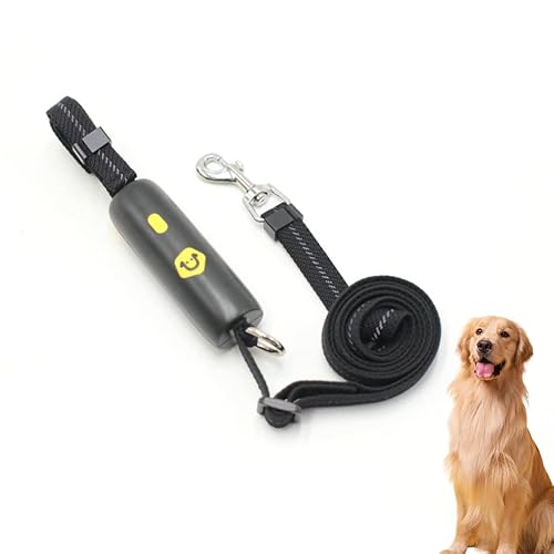 Reflektierende Hundeleine, mit One-Touch-Entriegelungsknopf, 0,95–1,6 m, starkes reflektierendes Seil für Spaziergänge mit Haustieren, langlebige Welpen-Trainingsleine, drehbarer Metallclip (schwarz) von Baoyemes