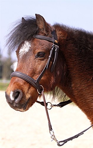 Barefoot Gebisslose Zäumung für Pferde – Bittless Bridle und Sidepull in einem – Weich gepolstert mit breitem Nasen-, Stirn- und Genickstück – ideal für Western, Englisch und Wanderreiten – schwarz von Barefoot