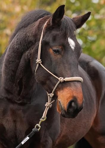 BeGentle Knotenhalfter Braun – Weiches, anschmiegsames Material – zweifarbige Optik – für Bodenarbeit & gebissloses Reiten – Größe COB von Barefoot