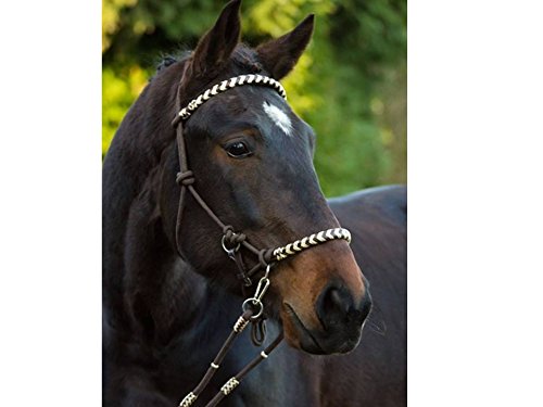 Seneca Reithalfter (2 Warmblut) von Barefoot