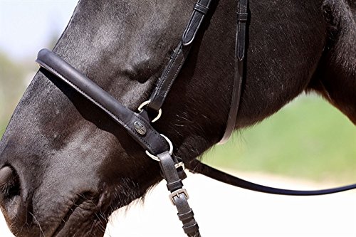 Shape-It Nasenstück für Contour Physio (braun, Pony / VB) von Barefoot