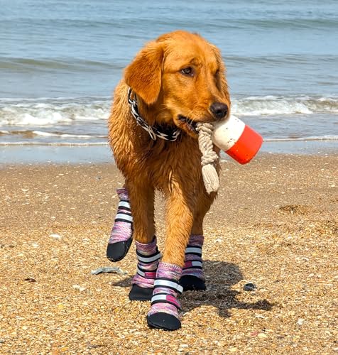 Bark Brite Leichte Neopren-Hundestiefel für Komfort und Atmungsaktivität, in 5 Größen (Lavendel Md) von Bark Brite