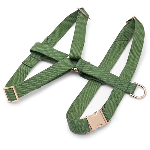 Bark Duke Unzerstörbares Hundegeschirr, ergonomisch, anpassbare Größe, kein Ziehen, kein Entkommen, Leinenclip vorne und hinten, Metallschnalle und Versteller, Smaragdgrün, Größe M von Bark Duke