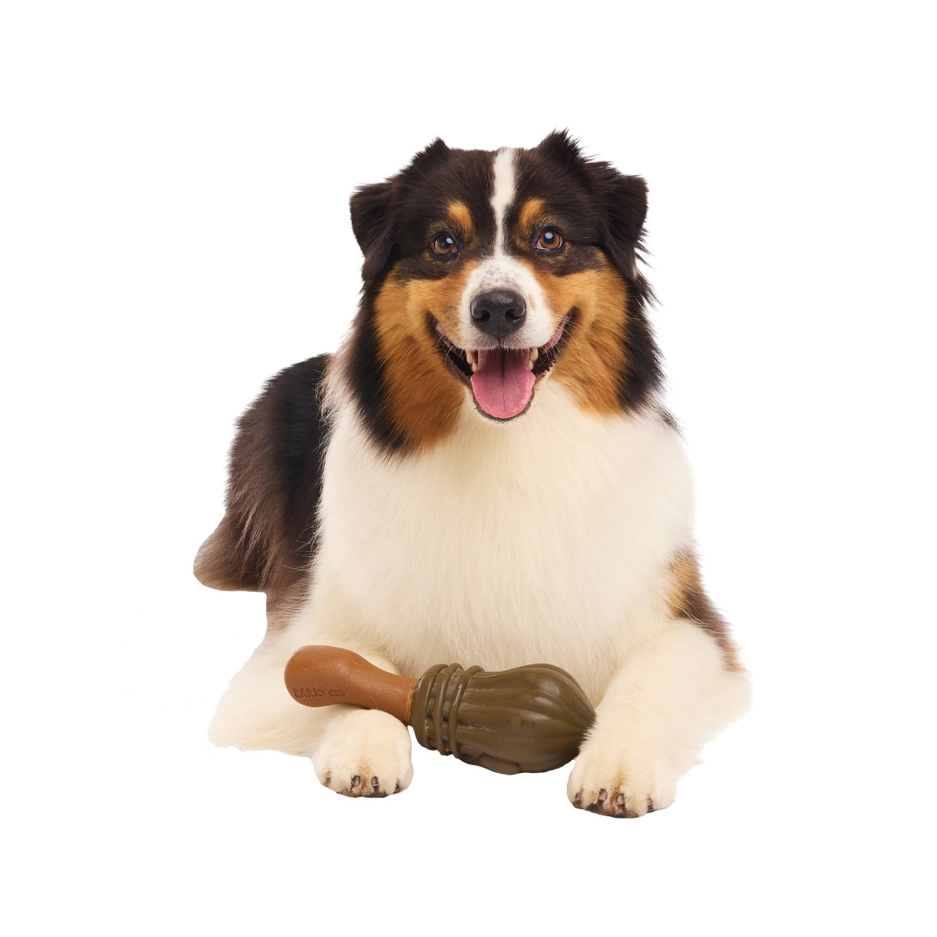 Bark Harry Potter Nimbus 2000 Bark Harry Potter Nimbus 2000 von Bark