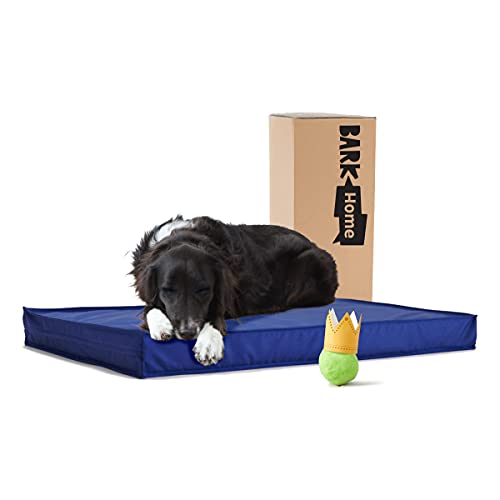 BarkBox Hunde- oder Katzen-Plattformbett für den Außenbereich, wasserdicht, mit abnehmbarem Bezug, für alle Wetterbedingungen, groß, Blau von Barkbox
