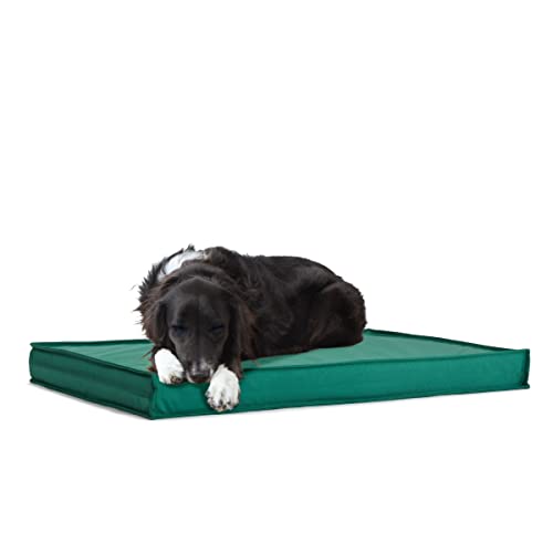 BarkBox Hunde- oder Katzen-Plattformbett für den Außenbereich, wasserdicht, mit abnehmbarem Bezug, für alle Wetterbedingungen, groß, Grün von Barkbox