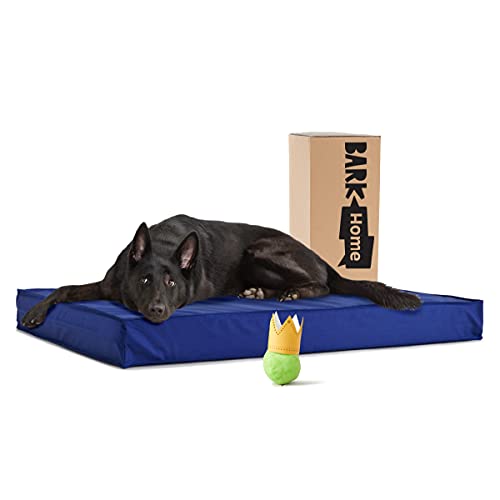 BarkBox Outdoor Hundebett, langlebig, wasserdicht und maschinenwaschbar, kühlender Gel-Memory-Schaum mit orthopädischer Gelenkentlastung, für mittelgroße und große Hunde und Haustiere (XL, blau) von Barkbox