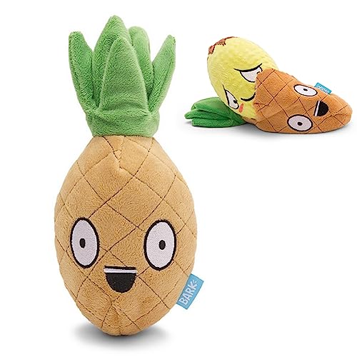 Barkbox 2-in-1 Interaktives Hundespielzeug aus Plüsch – Spielzeug zum Aufreißen und Aufdecken für Hunde und Welpen – anregendes, quietschendes Haustierspielzeug | Penny Pineapple (groß) von Barkbox