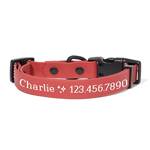 Barkbox Personalisierbares Hundehalsband, Größe S, Rot von Barkbox