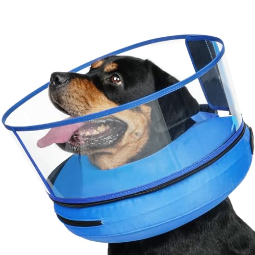 Aufblasbarer Hundekegel mit transparentem Anti-Leckschild (Blau, L) von Barkless