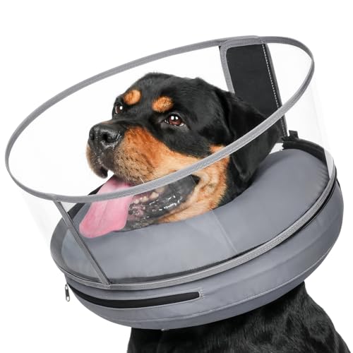 Aufblasbarer Hundekegel mit transparentem Anti-Leckschutz (Grau, M +) von Barkless