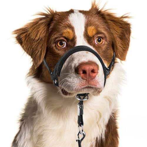 BARKLESS Halfter für mittelgroße bis große Hunde – verstellbares und sanftes Trainingshalfter mit reflektierenden Sicherheitsfunktionen und Leine für Gehkontrolle (Schwarz, M) von Barkless