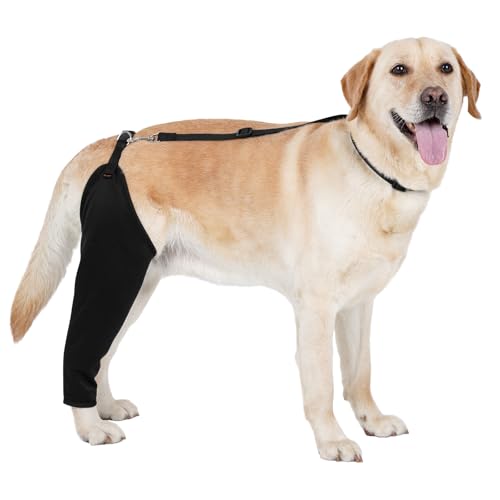 BARKLESS Hinterbeinmanschette für einzelne Hunde, um das Lecken zu stoppen, atmungsaktiver Genesungsanzug für männliche und weibliche Hunde nach Operationen, bequeme Rückbeinmanschette für Wundheilung BARKLESS Hinterbeinmanschette für einzelne Hunde, um das Lecken zu stoppen, atmungsaktiver Genesungsanzug für männliche und weibliche Hunde nach Operationen, bequeme Rückbeinmanschette für Wundheilung von Barkless