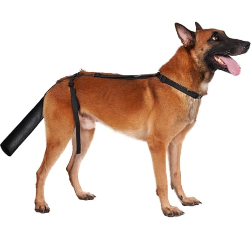 BARKLESS Hundeschwanzschutz, Hundeschwanzschutz für mittelgroße und große Hunde, verstellbare Abdeckung, um das Lecken von Wunden zu verhindern, atmungsaktive Schwanzendtasche zur Genesung (Schwarz, BARKLESS Hundeschwanzschutz, Hundeschwanzschutz für mittelgroße und große Hunde, verstellbare Abdeckung, um das Lecken von Wunden zu verhindern, atmungsaktive Schwanzendtasche zur Genesung (Schwarz, von Barkless