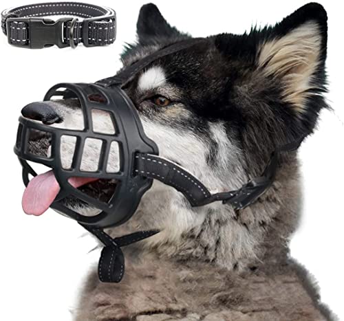 BARKLESS Maulkorb für Hunde, weicher Silikonkorbmaulkorb für Hunde, ermöglicht Hecheln und Trinken, verhindert unerwünschtes Bellen, Beißen und Kauen, inklusive Halsband und Trainingsanleitung BARKLESS Maulkorb für Hunde, weicher Silikonkorbmaulkorb für Hunde, ermöglicht Hecheln und Trinken, verhindert unerwünschtes Bellen, Beißen und Kauen, inklusive Halsband und Trainingsanleitung von Barkless