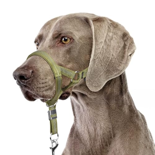 BARKLESS Stabiles Anti-Zieh-Halfter für mittelgroße und große Hunde, sanftes reflektierendes Halfter mit Sicherheitsverbindung, verstellbarer Nylon-Maulkorb für Hundetraining, Leine für Spaziergänge BARKLESS Stabiles Anti-Zieh-Halfter für mittelgroße und große Hunde, sanftes reflektierendes Halfter mit Sicherheitsverbindung, verstellbarer Nylon-Maulkorb für Hundetraining, Leine für Spaziergänge von Barkless