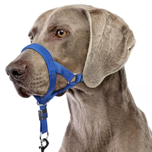 BARKLESS Stabiles Anti-Zieh-Halfter für mittelgroße und große Hunde, sanftes reflektierendes Halfter mit Sicherheitsverbindung, verstellbarer Nylon-Maulkorb für Spaziergänge, Blau, Größe XL von Barkless