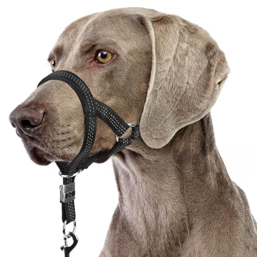 BARKLESS Stabiles Anti-Zieh-Halfter für mittelgroße und große Hunde, sanftes reflektierendes Kopfhalfter mit Sicherheitsverbindung, verstellbarer Nylon-Hundemaulkorb für Spaziergänge, Schwarz, Größe von Barkless