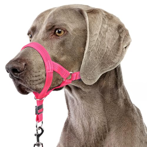 BARKLESS Stabiles Anti-Zieh-Halfter für mittelgroße und große Hunde, sanftes reflektierendes Kopfhalfter mit Sicherheitsverbindung, verstellbarer Nylon-Maulkorb für Hundetraining, Leine für von Barkless