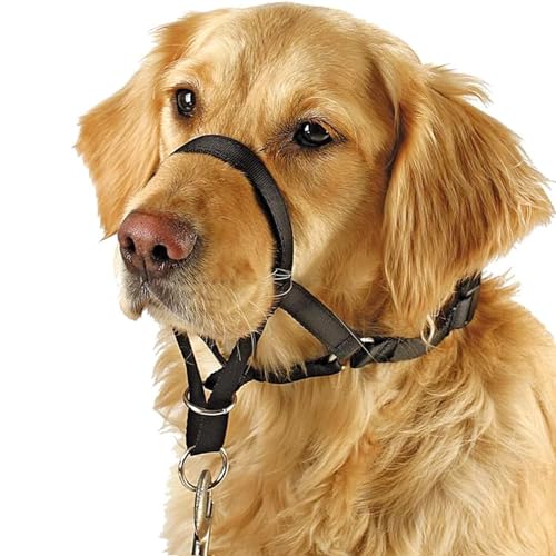 Barkless Hundehalsband, No Pull Training Tool für Hunde auf Spaziergängen, inkl. Trainingshandbuch, 5 (M, schwarz) von Barkless