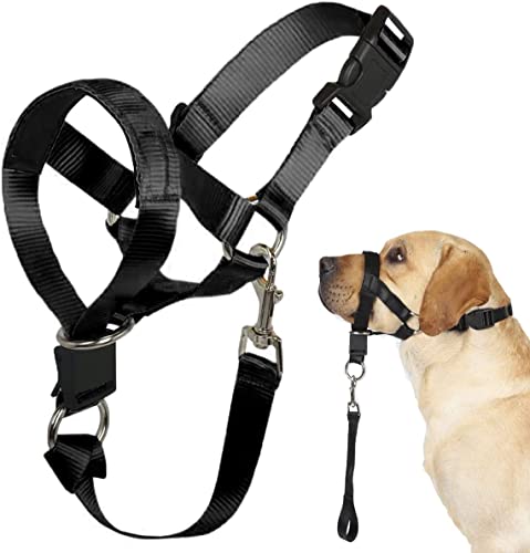 Hunde Halfter No Pull Training Tool für Hunde auf Spaziergängen Inklusive Trainingsanleitung Weiche Polsterung 5(L, Schwarz) von Barkless