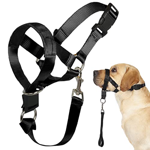 Hunde Halfter No Pull Training Tool für Hunde auf Spaziergängen Inklusive Trainingsanleitung Weiche Polsterung 5 (S, Schwarz) von Barkless