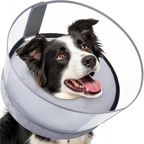 Schützender Hundekegel (Grau, M) von Barkless