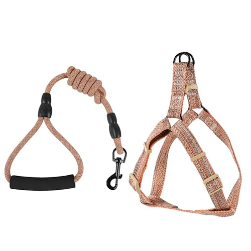 Barky Club Hunde- und Katzengeschirr-Set, verstellbare Leine, Halsband und Geschirr, atmungsaktiv, leicht und bequem, geeignet für kleine bis mittelgroße Haustiere (Orange, S) von Barky Club